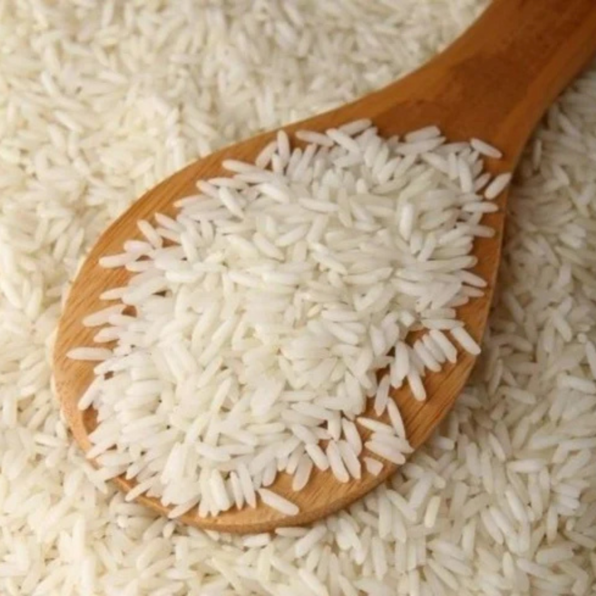Apna Karnool Sona Masoori Rice 20 Lb.