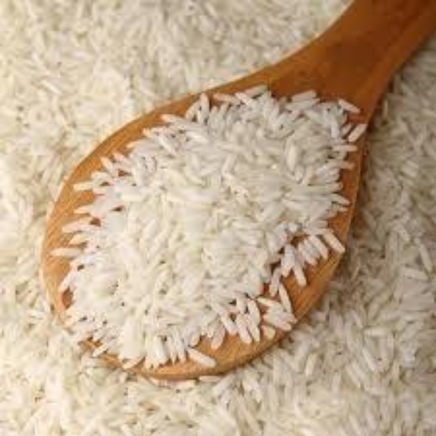 Fyve Elements Sona Masoori Rice 20 Lb.