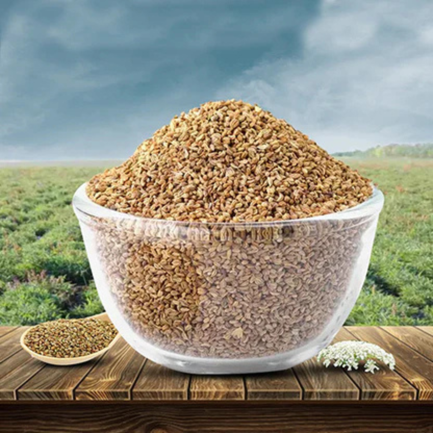 Deep Ajwian Seeds 14 Oz.