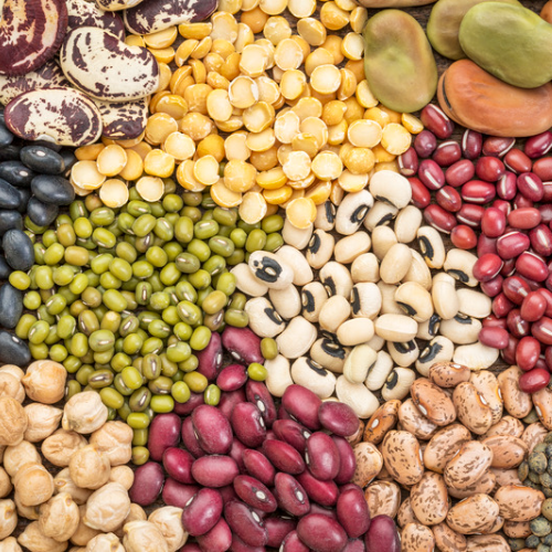 Beans & Lentils