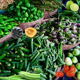 Fresh Vegetables