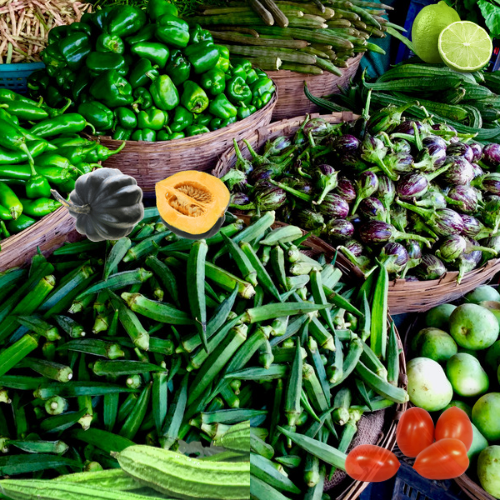Fresh Vegetables