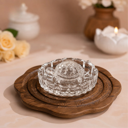 AB Turtle with Glass Plate