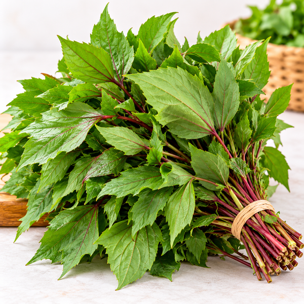 Gongora Leaves