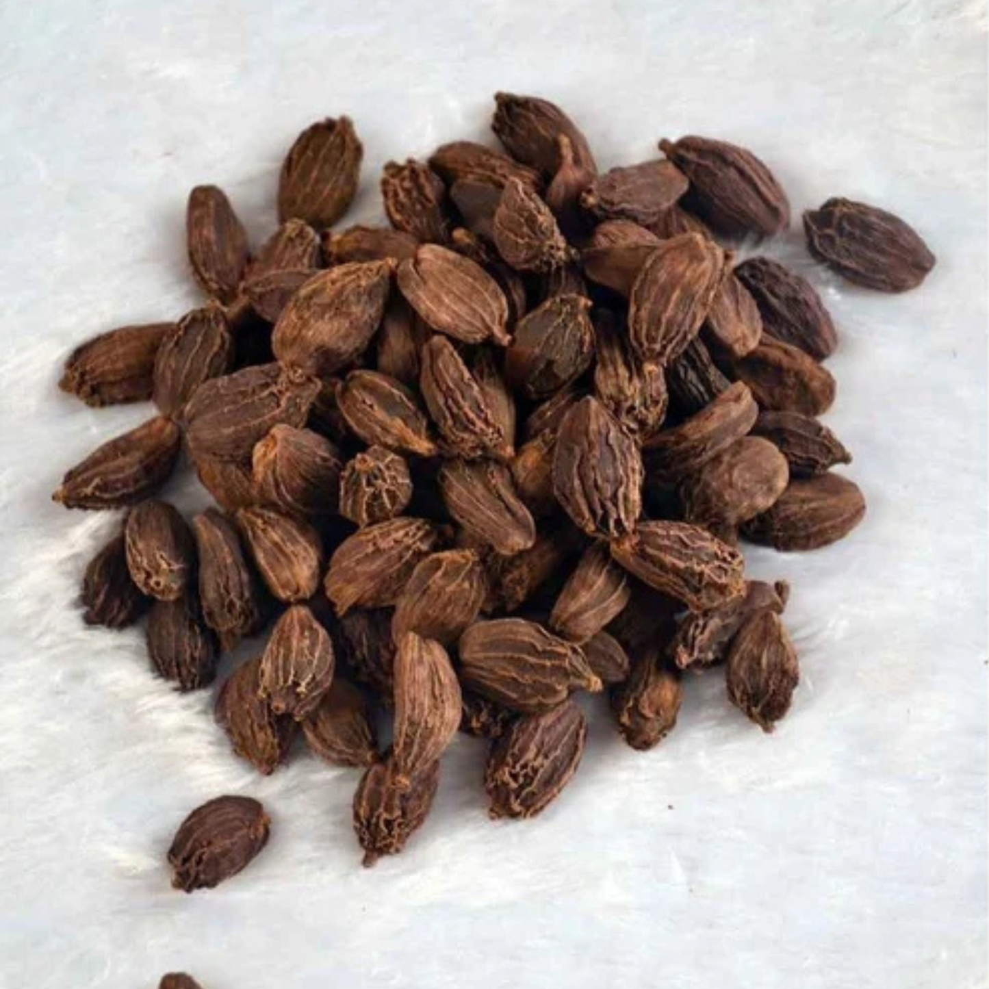 Deep Dry Carda Seed 3.5 Oz.