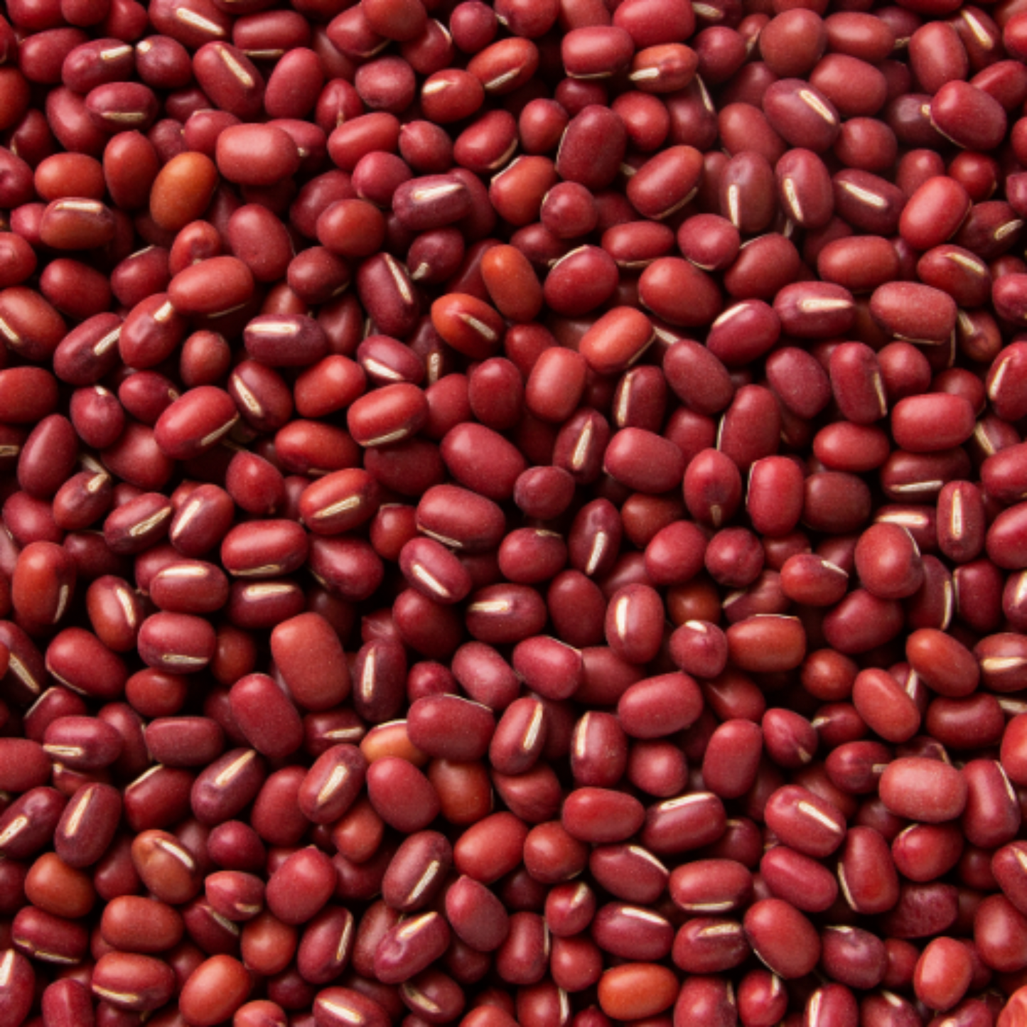 Bansi Red Chori 2 Lb.
