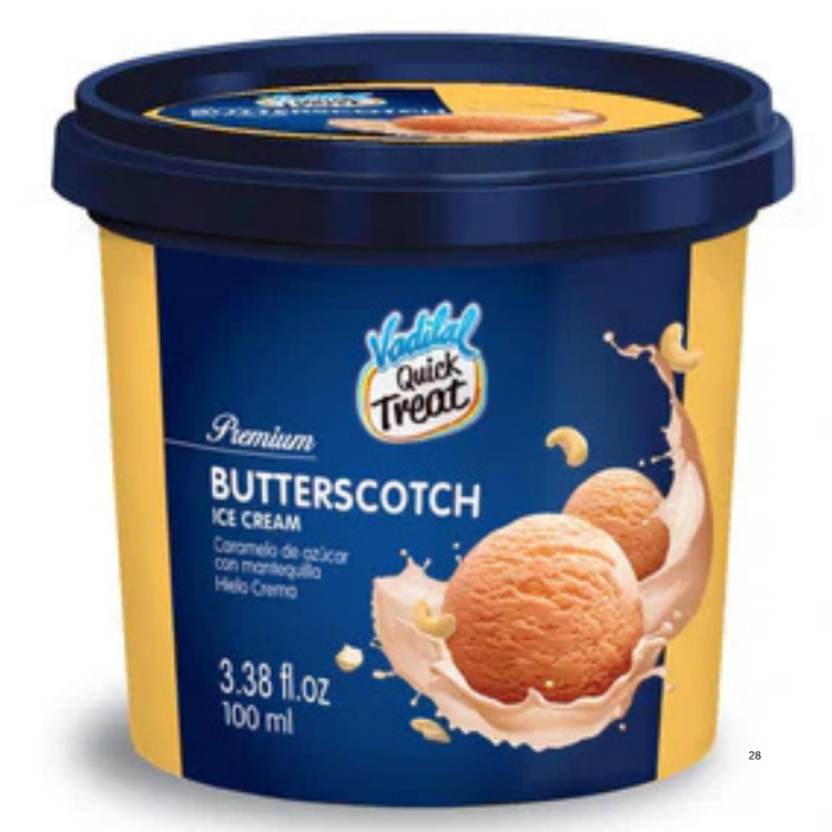 Vadilal Butterscotch Ice Cream 100 ml.