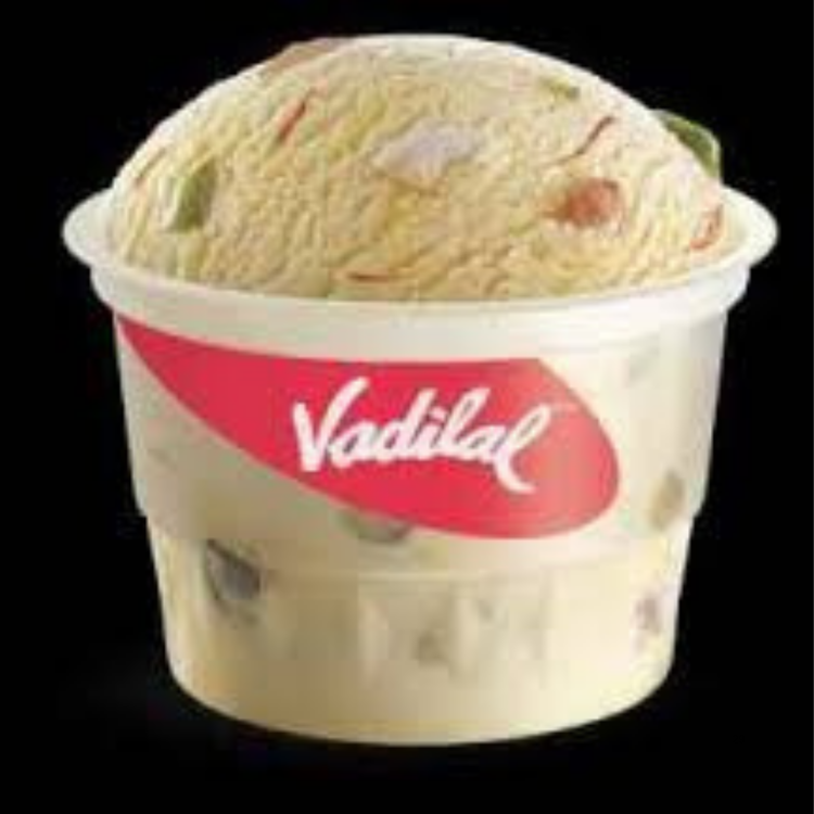 Vadilal Fruit & Nuts Ice Cream 100 ml.