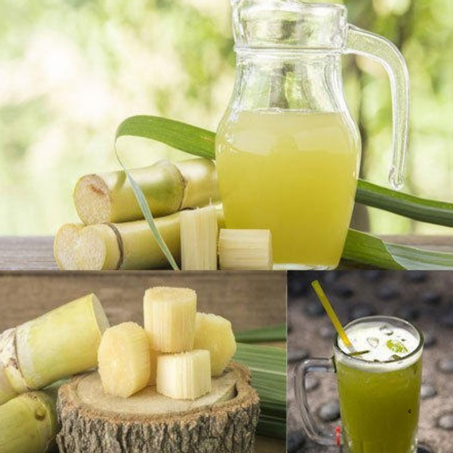 Vadilal Sugarcane (Frozen) 312 Gm.