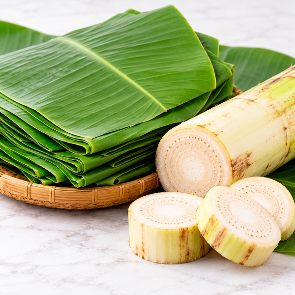 Banana Leaves/Stems-Case
