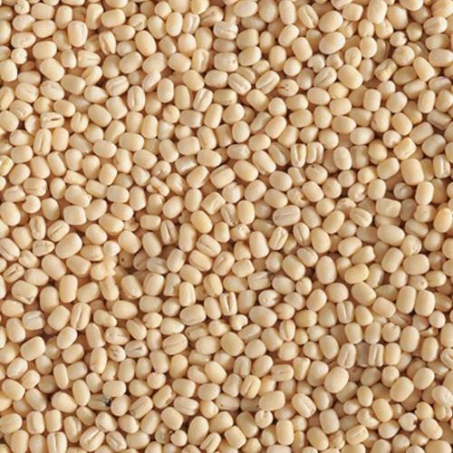 Swad Organic Urad Gota 2 Lb.
