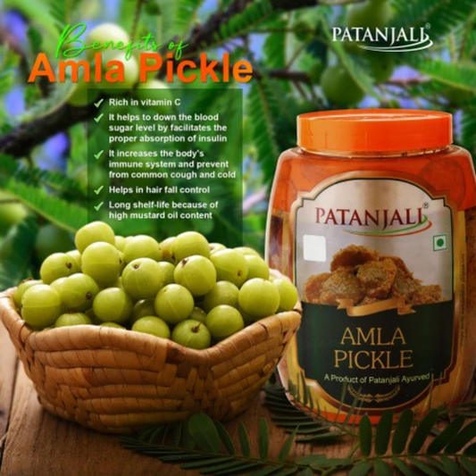 Patanjali Amla Pickle 1 Kg.