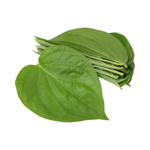 Paan Leaves